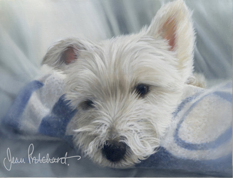 westie, oil painting, jean pritchard, west highland 