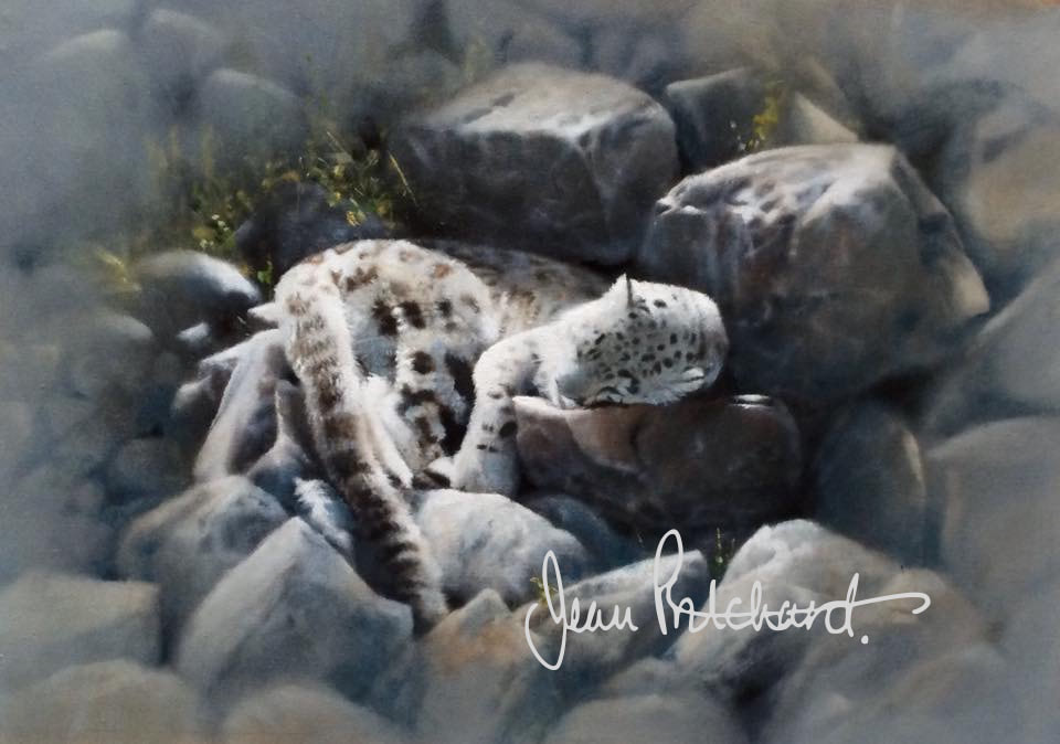 Snow leopard
Oil on fine canvas For Sale