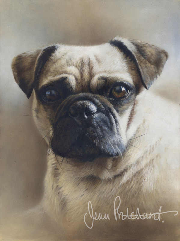jean pritchard oil paint dog portrait pet portrait 