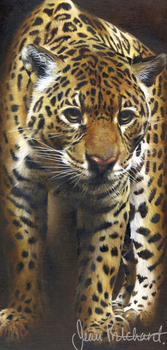 Prowl
oil on fine canvas SOLD