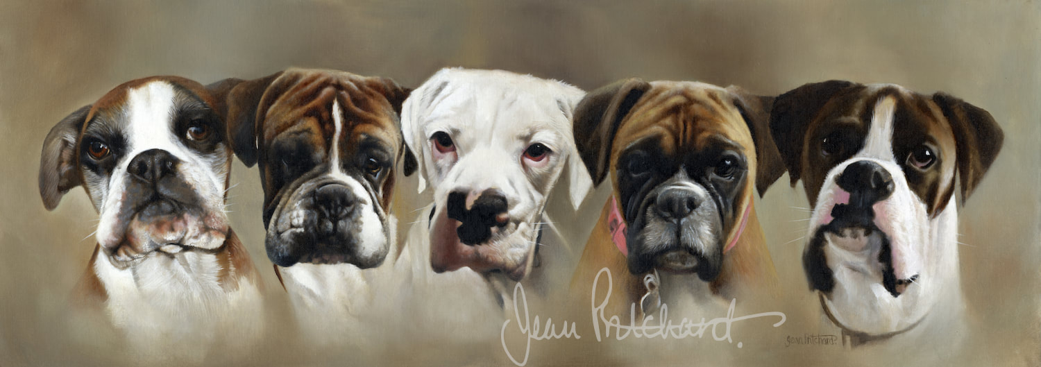 jean pritchard oil paint pet portrait boxer dog 