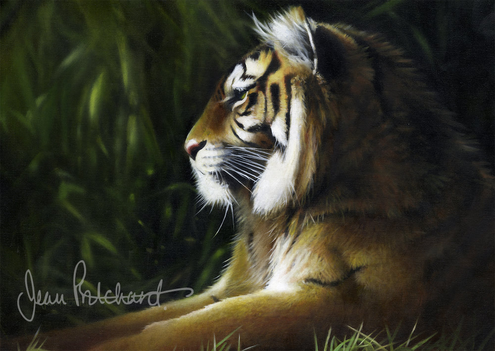 Tiger
Oil on fine canvas For Sale