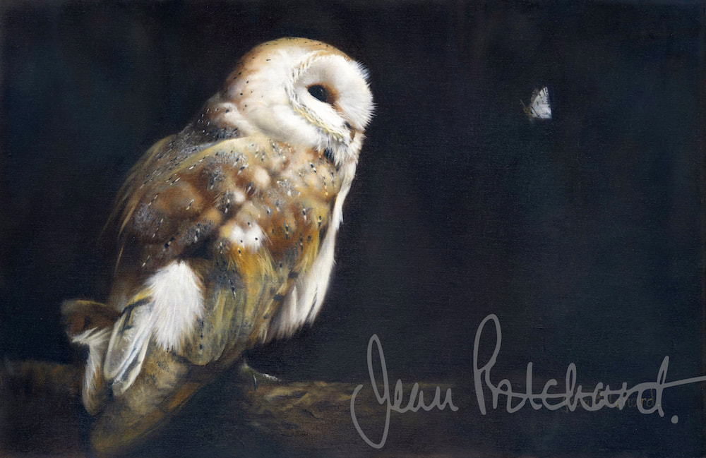 The Owl and the Moth
Oil on Fine Canvas SOLD