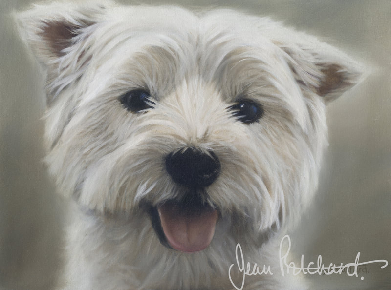 west highkland white terrier, jean pritchard, westie, pet portraits, oil painting