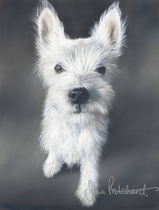 'Bruce'
oil on fine canvas