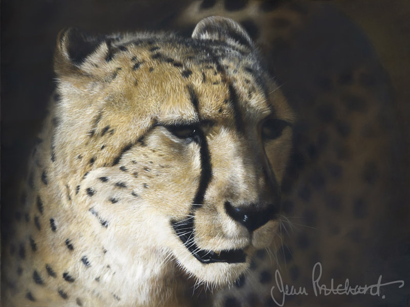 wildlife art, jean pritchard, cheetah