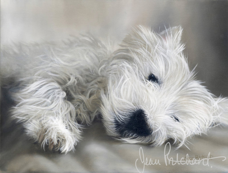 west highland white terrier, oil painting, pet portrait, jean pritchard 