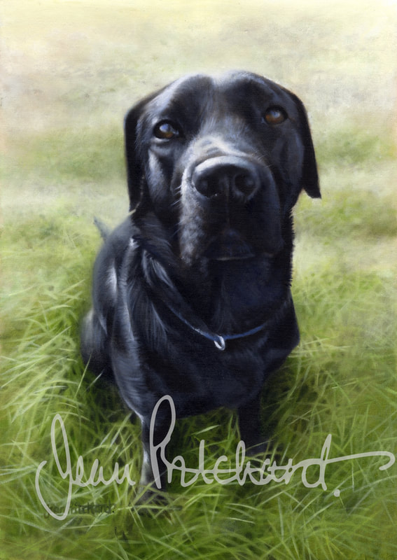 jean pritchard oil painting dog portrait pet labrador