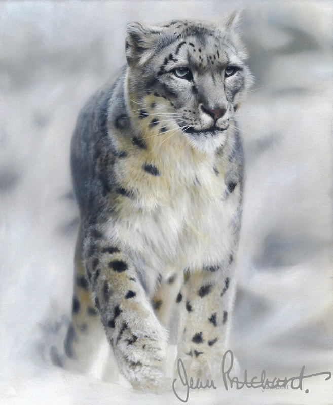 snow leopard, wildlife, jean pritchard 