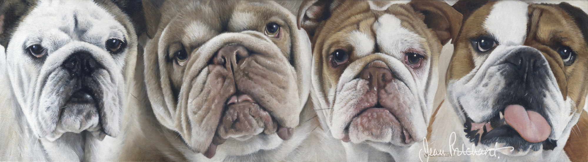 bulldogs, pet portrait, jean pritchard, wildlife artist 