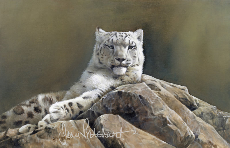 Lazy Days
Oil on fine Canvas........ Selected for the David Shepherd Wildlife Artist of the Year 2018 SOLD