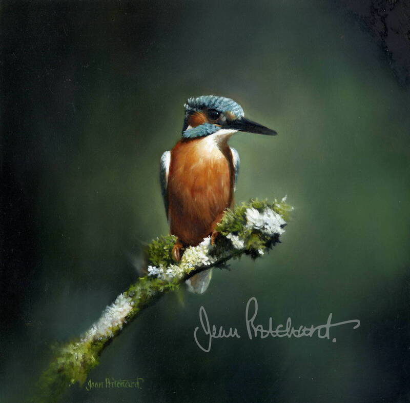 kingfisher, jean pritchard 