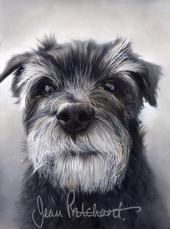 jean pritchard oil painting pet portrait terrier 