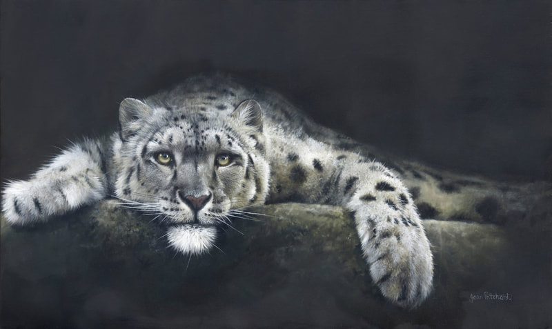 jean pritchard, big cat, snow leopard, wildlife artist 
