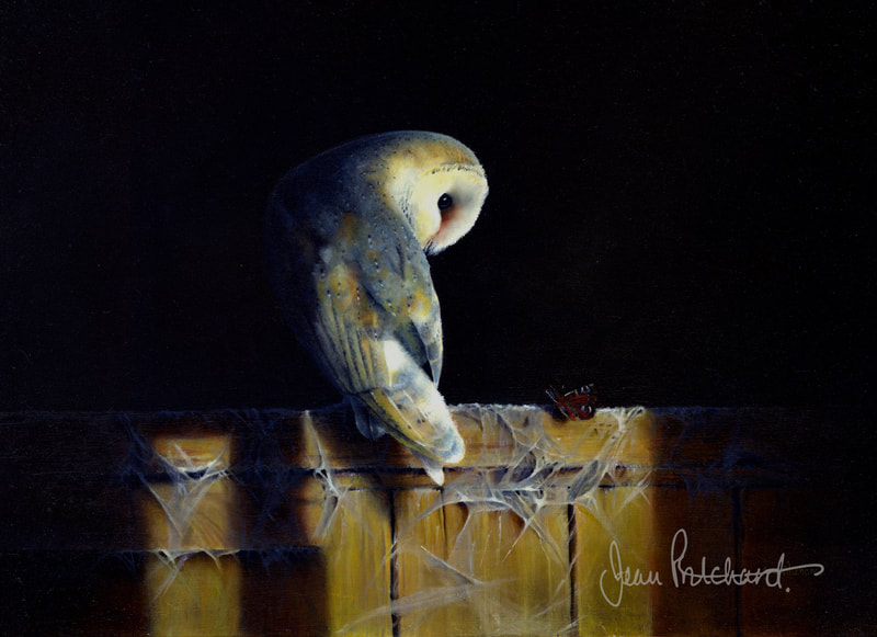 The Owl and the Peacock
Oil on canvas SOLD