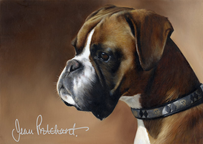 jean pritchard oil painting  pet portrait boxer dog 