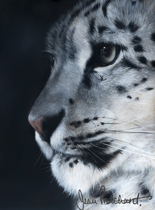 Snow Leopard, Jean Pritchard