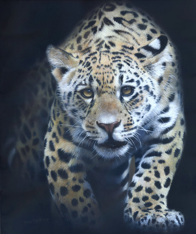 jaguar, wildlife art, jean pritchard, big cat