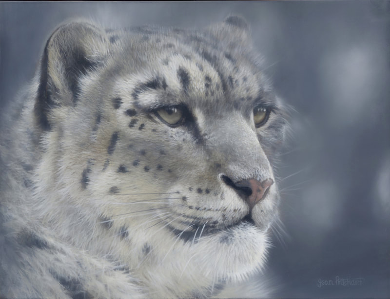 snow leopard, jean pritchard, wildlife artist 