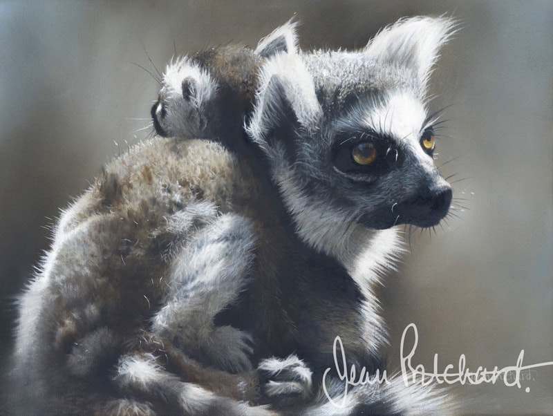 jean pritchard oil painting , wildlife artist , lemur