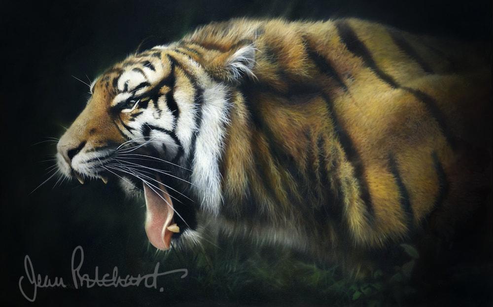 Tiger, wildlife art, jean pritchard 