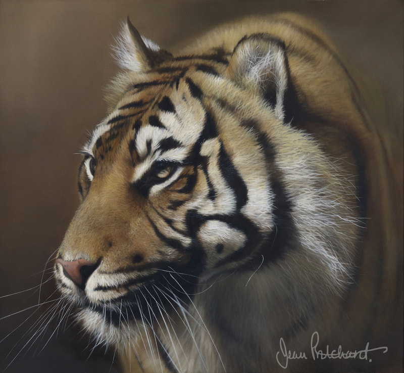 Tiger, Jean Pritchard 