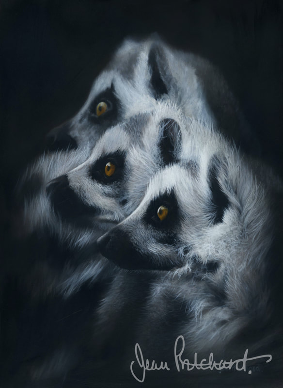 Lemurs, Jean Pritchard 