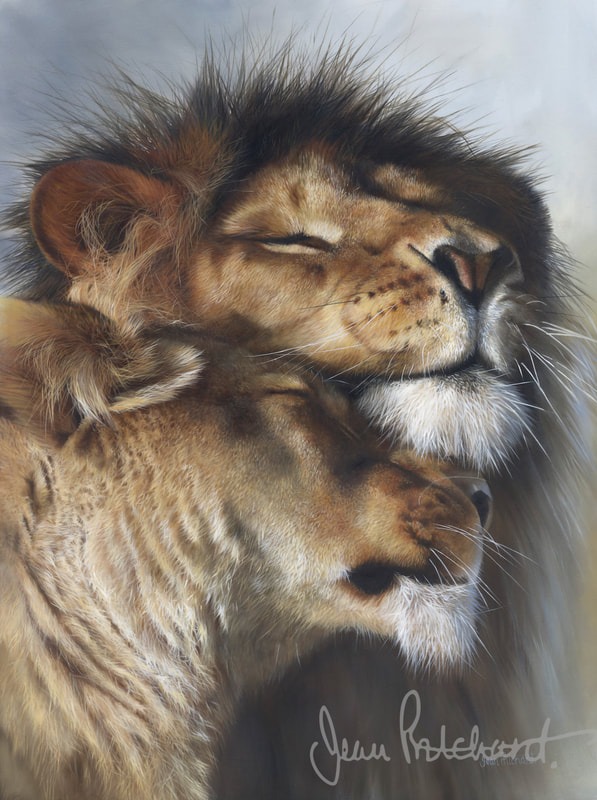 lion, big cat, wildlife art, Jean Pritchard 