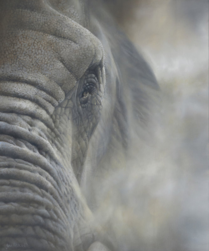 elephant, wildlife art, jean pritchard 