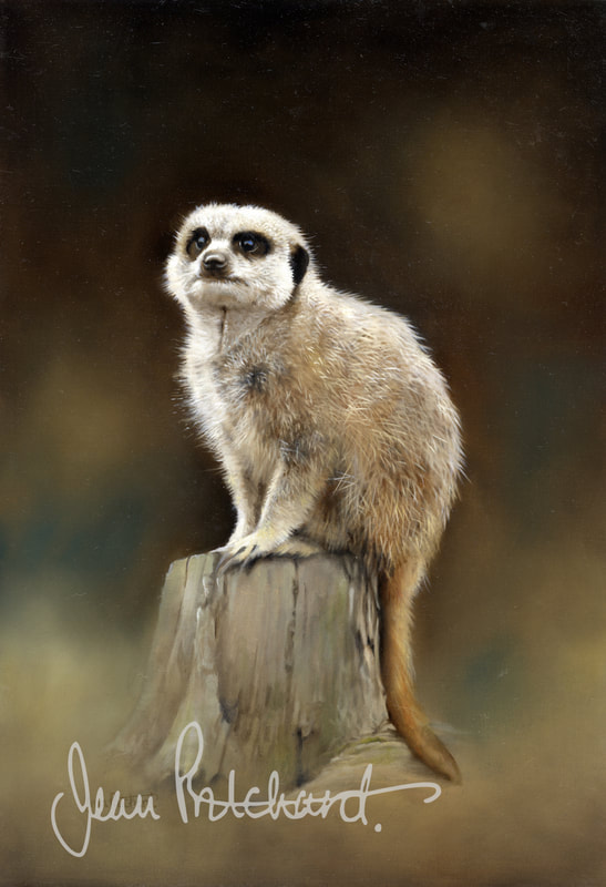The lookout
oil on fine canvas SOLD
