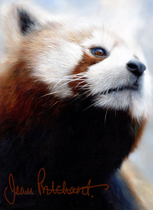 jean pritchard , red panda , wildlife artist 