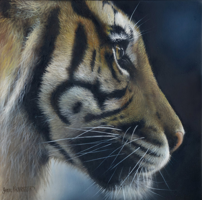 tiger art, tiger painting, jean pritchard 