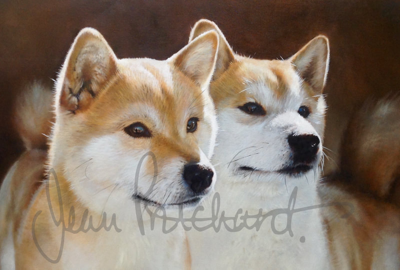 jean pritchard oil painting  pet portraits dogs shiba inu
